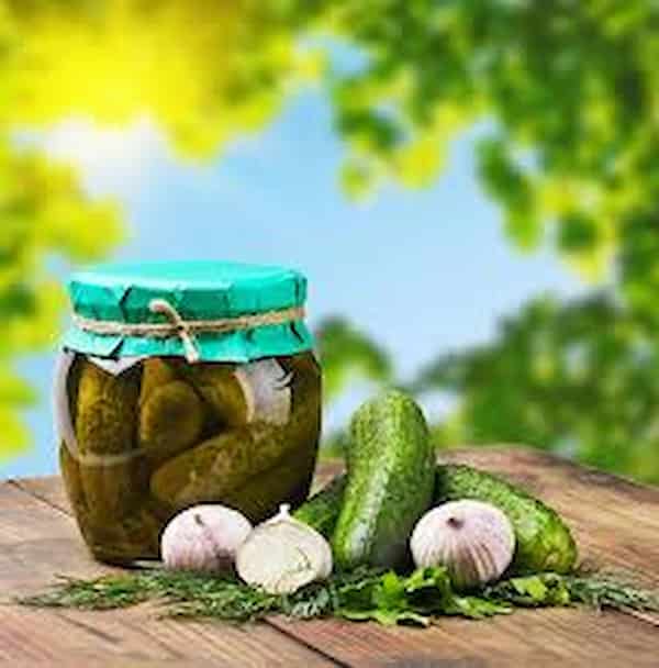 تصویر 2 از خرید خیارشور نول ترد + قیمت فروش استثنایی